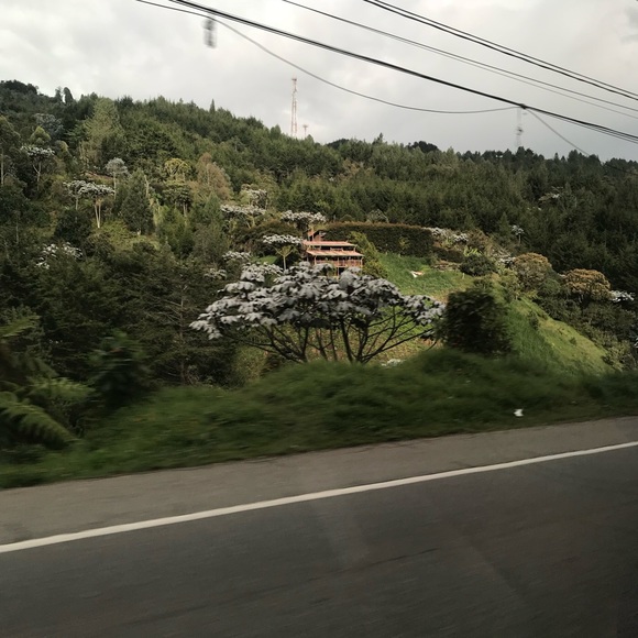 Meet your Posher, Veronica - Picture 1 of 1